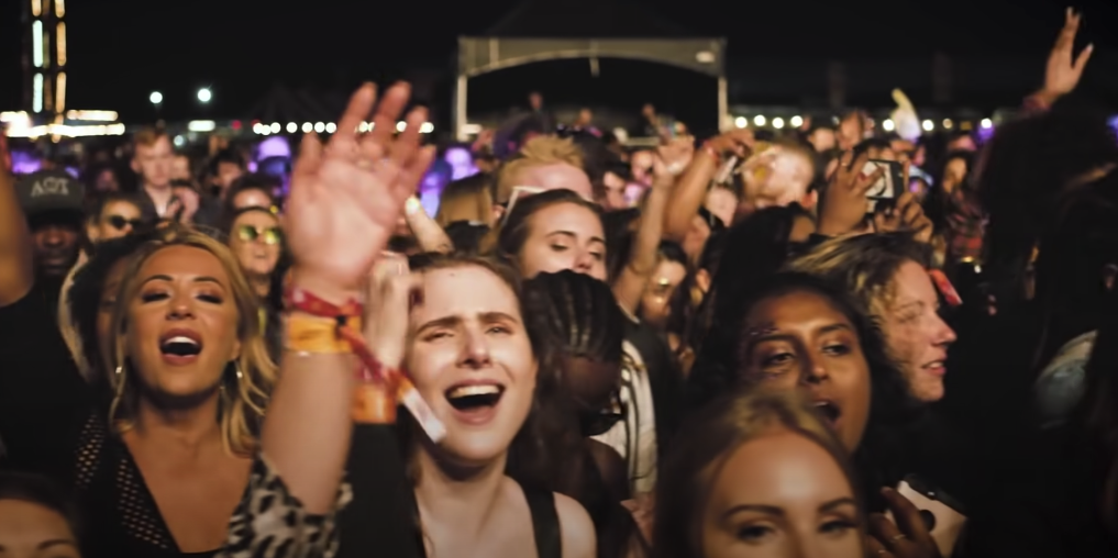 Photo of a crowd enthusiastically enjoying a concert